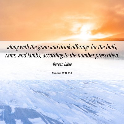 Picture 06 - Numbers 29:18 BSB - along with the grain and drink offerings for the - Bible Verse Picture