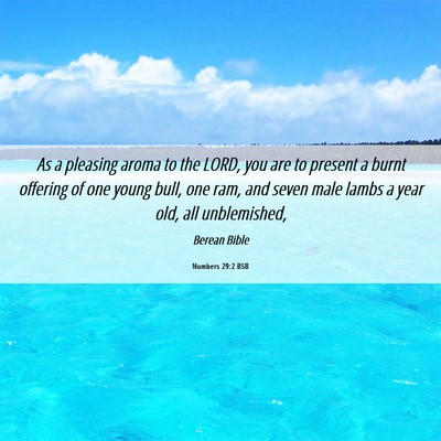Picture 06 - Numbers 29:2 BSB - As a pleasing aroma to the LORD, you are to - Bible Verse Picture