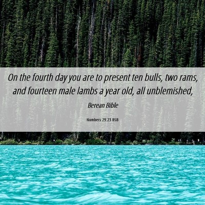 Picture 06 - Numbers 29:23 BSB - On the fourth day you are to present ten bulls, - Bible Verse Picture