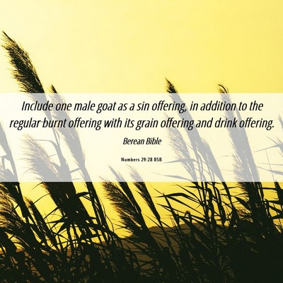 Picture 06 - Numbers 29:28 BSB - Include one male goat as a sin offering, in - Bible Verse Picture