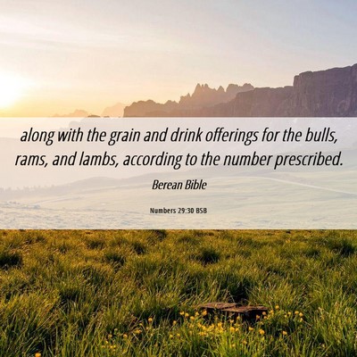 Picture 06 - Numbers 29:30 BSB - along with the grain and drink offerings for the - Bible Verse Picture