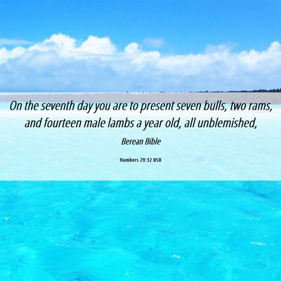 Picture 06 - Numbers 29:32 BSB - On the seventh day you are to present seven - Bible Verse Picture