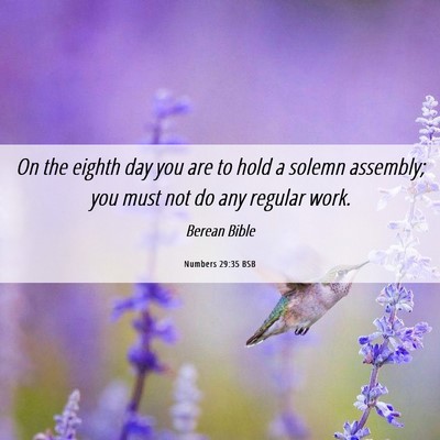 Picture 06 - Numbers 29:35 BSB - On the eighth day you are to hold a solemn - Bible Verse Picture