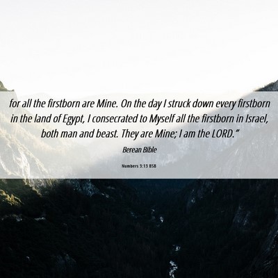Picture 06 - Numbers 3:13 BSB - for all the firstborn are Mine. On the day I - Bible Verse Picture