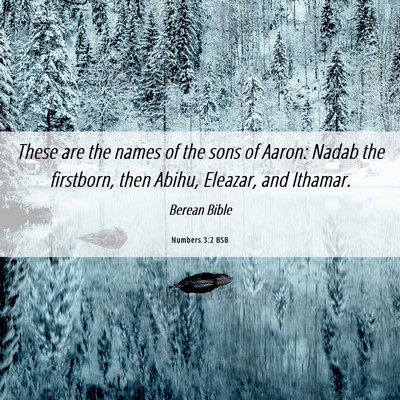 Picture 06 - Numbers 3:2 BSB - These are the names of the sons of Aaron: Nadab - Bible Verse Picture