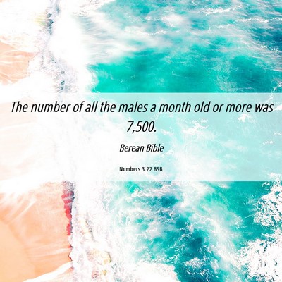 Picture 06 - Numbers 3:22 BSB - The number of all the males a month old or more - Bible Verse Picture