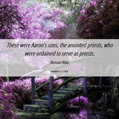 Picture 06 - Numbers 3:3 BSB - These were Aaron’s sons, the anointed priests, - Bible Verse Picture
