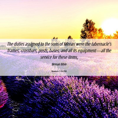 Picture 06 - Numbers 3:36 BSB - The duties assigned to the sons of Merari were - Bible Verse Picture