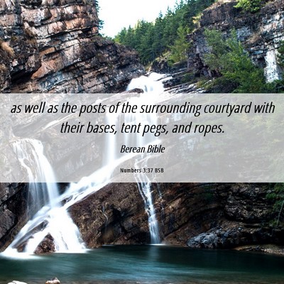 Picture 06 - Numbers 3:37 BSB - as well as the posts of the surrounding courtyard - Bible Verse Picture