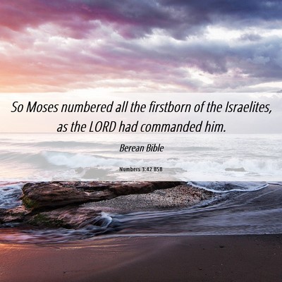 Picture 06 - Numbers 3:42 BSB - So Moses numbered all the firstborn of the - Bible Verse Picture
