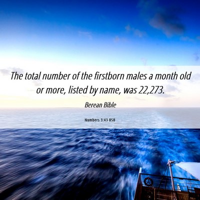 Picture 06 - Numbers 3:43 BSB - The total number of the firstborn males a month - Bible Verse Picture