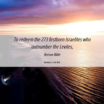 Picture 06 - Numbers 3:46 BSB - To redeem the 273 firstborn Israelites who - Bible Verse Picture