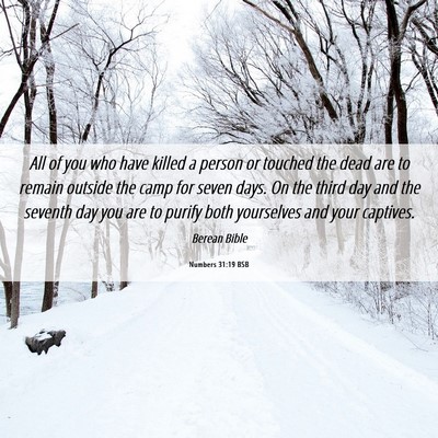 Picture 06 - Numbers 31:19 BSB - All of you who have killed a person or touched - Bible Verse Picture