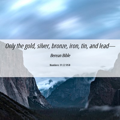 Picture 06 - Numbers 31:22 BSB - Only the gold, silver, bronze, iron, tin, and - Bible Verse Picture