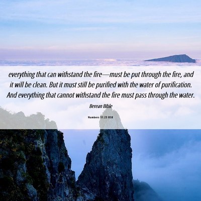 Picture 06 - Numbers 31:23 BSB - everything that can withstand the fire—must be - Bible Verse Picture