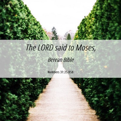 Picture 06 - Numbers 31:25 BSB - The LORD said to - Bible Verse Picture