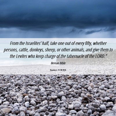 Picture 06 - Numbers 31:30 BSB - From the Israelites’ half, take one out of - Bible Verse Picture