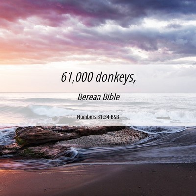 Picture 06 - Numbers 31:34 BSB - 61,000 - Bible Verse Picture