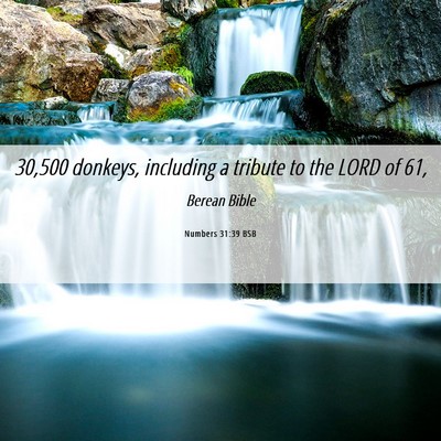 Picture 06 - Numbers 31:39 BSB - 30,500 donkeys, including a tribute to the LORD - Bible Verse Picture