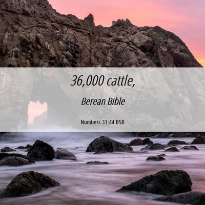 Picture 06 - Numbers 31:44 BSB - 36,000 - Bible Verse Picture