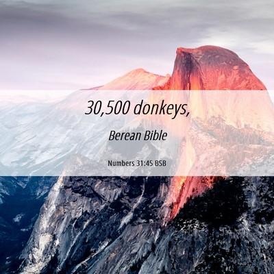 Picture 06 - Numbers 31:45 BSB - 30,500 - Bible Verse Picture