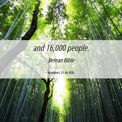 Picture 06 - Numbers 31:46 BSB - and 16,000 - Bible Verse Picture