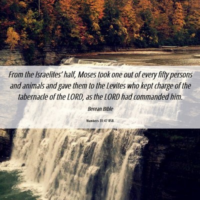 Picture 06 - Numbers 31:47 BSB - From the Israelites’ half, Moses took one out - Bible Verse Picture