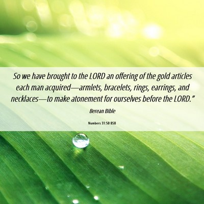 Picture 06 - Numbers 31:50 BSB - So we have brought to the LORD an offering of the - Bible Verse Picture