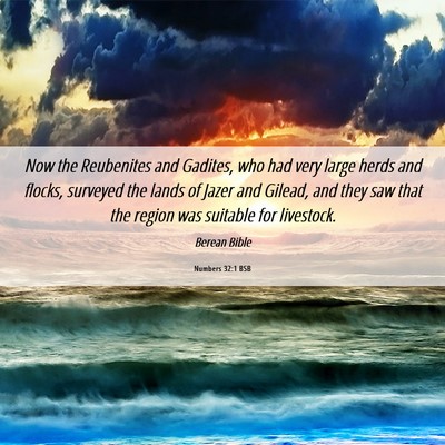 Picture 06 - Numbers 32:1 BSB - Now the Reubenites and Gadites, who had very - Bible Verse Picture
