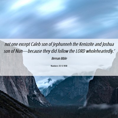 Picture 06 - Numbers 32:12 BSB - not one except Caleb son of Jephunneh the - Bible Verse Picture