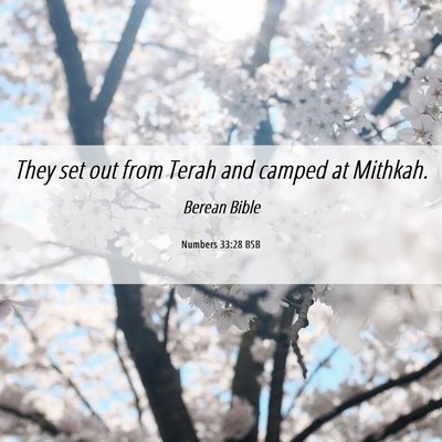 Picture 06 - Numbers 33:28 BSB - They set out from Terah and camped at - Bible Verse Picture