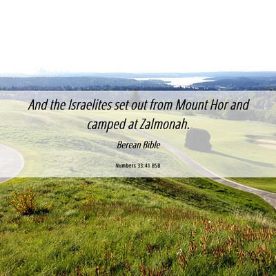 Picture 06 - Numbers 33:41 BSB - And the Israelites set out from Mount Hor and - Bible Verse Picture