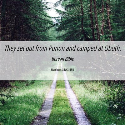 Picture 06 - Numbers 33:43 BSB - They set out from Punon and camped at - Bible Verse Picture