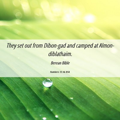 Picture 06 - Numbers 33:46 BSB - They set out from Dibon-gad and camped at - Bible Verse Picture
