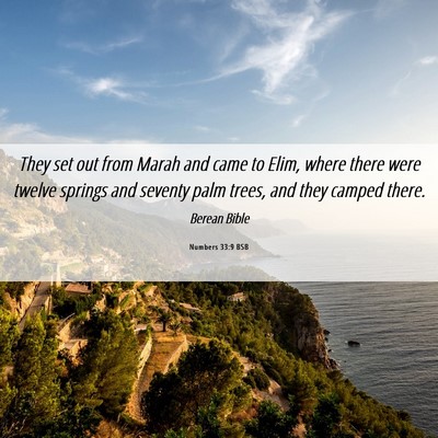 Picture 06 - Numbers 33:9 BSB - They set out from Marah and came to Elim, where - Bible Verse Picture