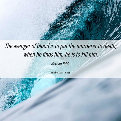 Picture 06 - Numbers 35:19 BSB - The avenger of blood is to put the murderer to - Bible Verse Picture