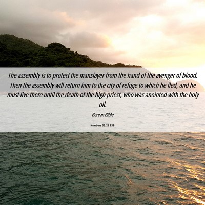Picture 06 - Numbers 35:25 BSB - The assembly is to protect the manslayer from the - Bible Verse Picture