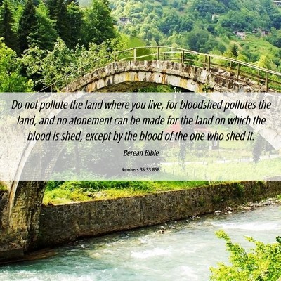 Picture 06 - Numbers 35:33 BSB - Do not pollute the land where you live, for - Bible Verse Picture