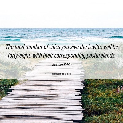 Picture 06 - Numbers 35:7 BSB - The total number of cities you give the Levites - Bible Verse Picture