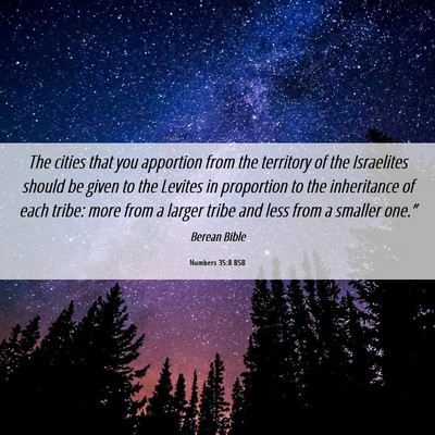 Picture 06 - Numbers 35:8 BSB - The cities that you apportion from the territory - Bible Verse Picture