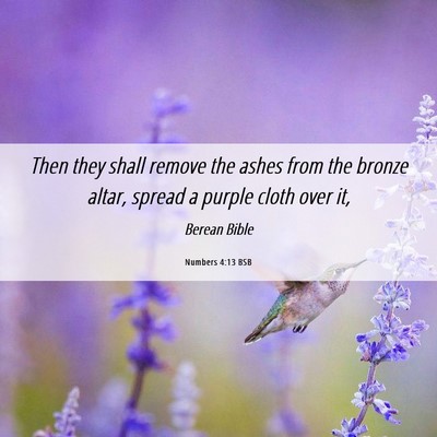 Picture 06 - Numbers 4:13 BSB - Then they shall remove the ashes from the bronze - Bible Verse Picture