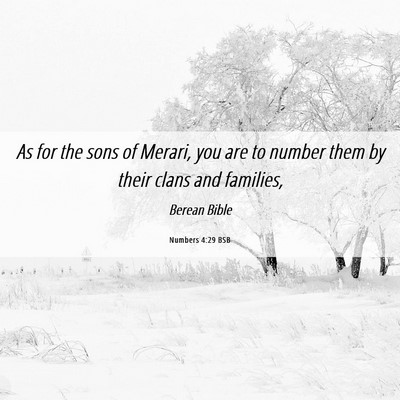 Picture 06 - Numbers 4:29 BSB - As for the sons of Merari, you are to number them - Bible Verse Picture