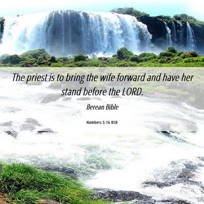Picture 06 - Numbers 5:16 BSB - The priest is to bring the wife forward and have - Bible Verse Picture