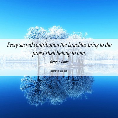 Picture 06 - Numbers 5:9 BSB - Every sacred contribution the Israelites bring to - Bible Verse Picture
