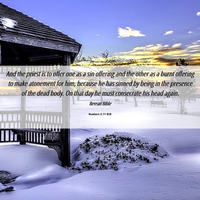 Picture 06 - Numbers 6:11 BSB - And the priest is to offer one as a sin offering - Bible Verse Picture