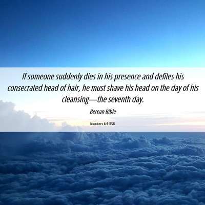 Picture 06 - Numbers 6:9 BSB - If someone suddenly dies in his presence and - Bible Verse Picture