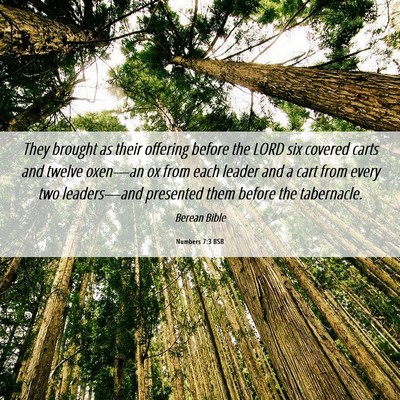 Picture 06 - Numbers 7:3 BSB - They brought as their offering before the LORD - Bible Verse Picture