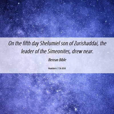 Picture 06 - Numbers 7:36 BSB - On the fifth day Shelumiel son of Zurishaddai, - Bible Verse Picture