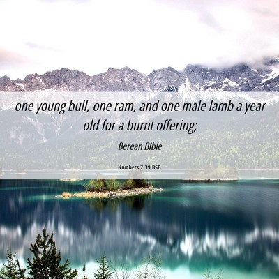 Picture 06 - Numbers 7:39 BSB - one young bull, one ram, and one male lamb a year - Bible Verse Picture