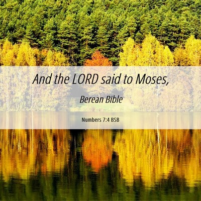 Picture 06 - Numbers 7:4 BSB - And the LORD said to - Bible Verse Picture